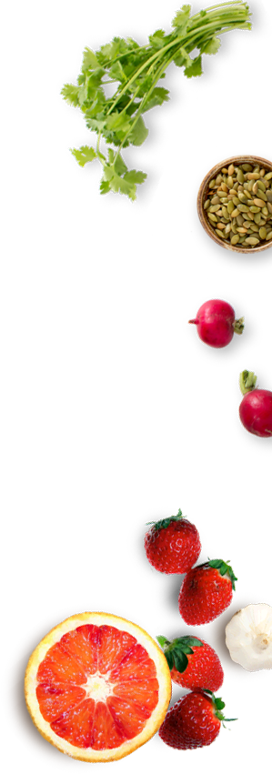 food ordering app development